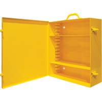 Wall-Mounting Spill Control Cabinet Kelford