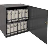Armoire de rangement pour contenants a&eacute;rosol, Acier, 21-7/8" h x 15-15/16" la x 20-5/16" P, Gris Kelford