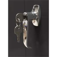 Storage Cabinet, Steel, 4 Shelves, 78" H x 36" W x 24" D, Black Kelford