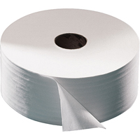 Advanced Toilet Paper, Jumbo Roll, 2 Ply, 751' Length, White JB564 | Kelford