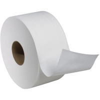 Advanced Soft Mini Toilet Paper, Jumbo Roll, 2 Ply, 751' Length, White JB565 | Kelford
