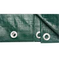 B&acirc;che, Robuste, Vert, 60' x 40' x 9 mils Kelford