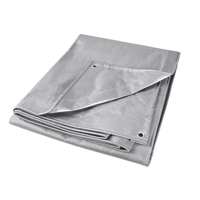 B&acirc;che, Super robuste, Argent, 10' x 8' x 12 mils Kelford