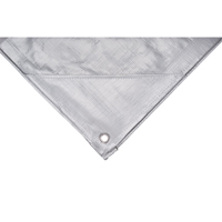 B&acirc;che, Super robuste, Argent, 10' x 8' x 12 mils Kelford