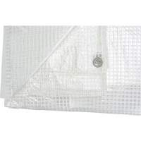 Clear Tarp, 12' x 10' x 8 mils Kelford