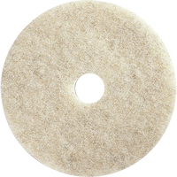 Tampons pour l'entretien des planchers, 21", Brunissage, Brun Kelford