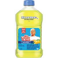Antibacterial All-Purpose Cleaner, Bottle JL064 | Kelford