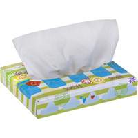 Papiers-mouchoirs pour enfants de Kleenex, 2 pli, 8,4" lo x 5,5" la, 40 feuilles/boîte Kelford
