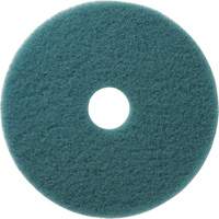 Tampons &agrave; polir pour planchers Aqua, 19", Brunissage, Aqua Kelford