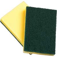 Sponges with Scouring Pad, Scrubbing, 4" W x 6" L JN021 | Kelford