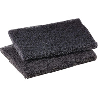 Tampon de polissage pour plaque de cuisson Scotch-Brite, 4" lo x 5" la Kelford