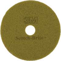 Tampon pour planchers TopLine Speed, 17", Brunissage, Brun Kelford