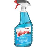 Windex<sup>®</sup> Glass Cleaner with Ammonia-D<sup>®</sup>, Trigger Bottle JO155 | Kelford