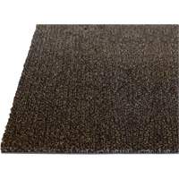 Palliser Indoor Matting, Wiper/Scraper, 3-1/2' x 6' x 5/16", Anglis Kelford