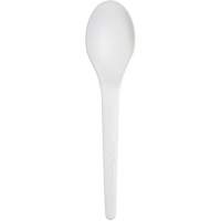 Plantware Renewable and Compostable Spoon Kelford