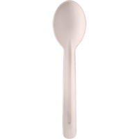 Bagasse Compostable Spoons JQ132 | Kelford