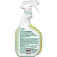 Nettoyant d&eacute;sinfectant CloroxPro Clorox EcoClean, 946 ml, Bouteille &agrave; g&acirc;chette Kelford