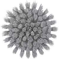 Brosse ronde HyDrive pour perceuse, Soies Tr&egrave;s ferme, Longueur de 3-1/10", Blanc Kelford