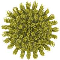Brosse ronde HyDrive pour perceuse, Soies Tr&egrave;s ferme, Longueur de 3-1/10", Jaune Kelford