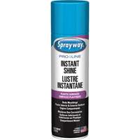 Pro Line Instant Shine for Plastic Surfaces, 11 oz., Aerosol Can Kelford