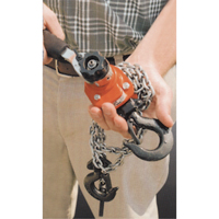 Series 602 Mini Ratchet Lever Hoist, 5' Lift, 550 lbs. (0.275 tons) Capacity, Steel Chain Kelford