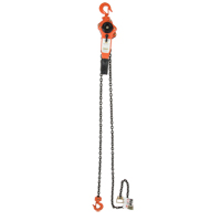 Lever Chain Hoist, 5' Lift, 3000 lbs. (1.5 tons) Capacity, Alloy Steel Chain Kelford