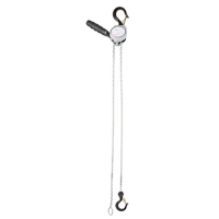 Mini Lever Hoist, 5' Lift, 500 lbs. (0.25 tons) Capacity, Zinc Plated Chain Kelford