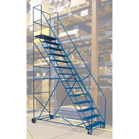 CSA-Certified Rolling Step Ladder with Locking Step, 14 Steps, 30" Step Width, 128" Platform Height, Steel Kelford