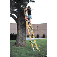 Industrial Heavy-Duty Extension Ladders (6200 Series), 375 lbs. Cap., 13' H, Grade 1AA Kelford