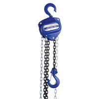 Chain Hoist, 10' Lift, 1000 lbs. (0.5 tons) Capacity MO259 | Kelford