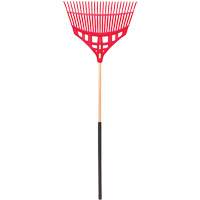 Fan Rakes