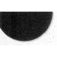 Tampons de d&eacute;capage Pro-Strip s&eacute;rie 7300, 17", D&eacute;capant, Noir Kelford