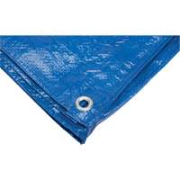 B&acirc;che, Standard, Bleu, 7' x 5' x 4 mils Kelford