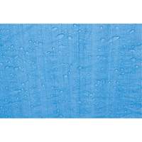 B&acirc;che, Standard, Bleu, 7' x 5' x 4 mils Kelford