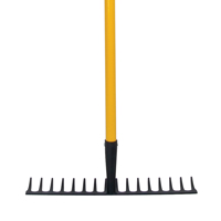 Leveling Rakes