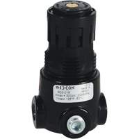 Wilkerson Miniature Regulator R03, 1/8" NPT, 300 psi Max. PSI, Standard Kelford