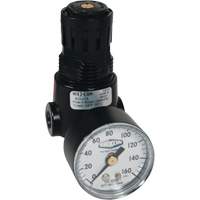 Wilkerson Miniature Regulator R04, 1/4" NPT, 300 psi Max. PSI, Standard Kelford