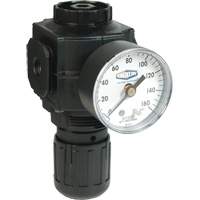 Series 1 Compact Regulator, 1/2" NPT, 150 PSI Max. PSI, Standard Kelford
