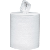Scott&reg; Essential Paper Towels, 2 Ply, Centre Pull, 625' L Kelford