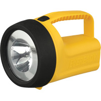 Lanterne flottante Readyflex de EverReady, DEL, 80 Lumens, Piles D Kelford