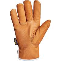 Endura&reg; Gloves, Large, Synthetic Palm, Thinsulate Inner Lining Kelford