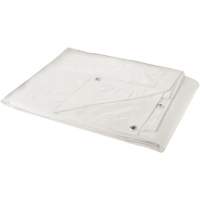 B&acirc;che, Robuste, Blanc, 40' x 30' x 6 mils Kelford