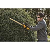 MAX* Hedge Trimmer, 22", 20 V, Battery Powered Kelford