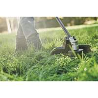 Max* Cordless Brushless Attachment-Capable String Trimmer, 17", Battery Powered, 60 V Kelford