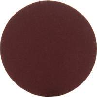 Lock Back Sanding Discs