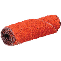 Rouleau de cartouche Blaze R920, 60 Grain, 3/8" dia., C&eacute;ramique d'alumine, 1-1/2" lo, 1/8" Dimension de l'arbre Kelford