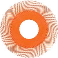 Scotch-Brite Type C Precision Radial Bristle Brush PN-RB without Adapter, Ceramic, 80+ Grit, 6" Dia. Kelford