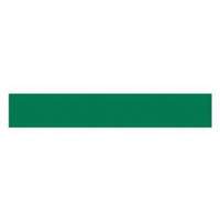 Write-On Magnetic Label, Magnetic, 600" L x 1" W Kelford