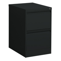Vertical Filing Cabinet, Steel, 2 Drawers, 18-1/7" W x 25" D x 29" H, Black Kelford