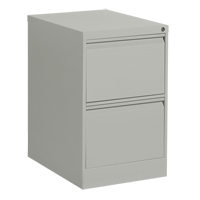 Vertical Filing Cabinet, Steel, 2 Drawers, 18-1/7" W x 25" D x 29" H, Grey Kelford
